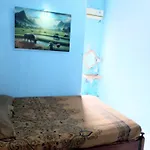 Mango Tree Homestay & Ijen Tour