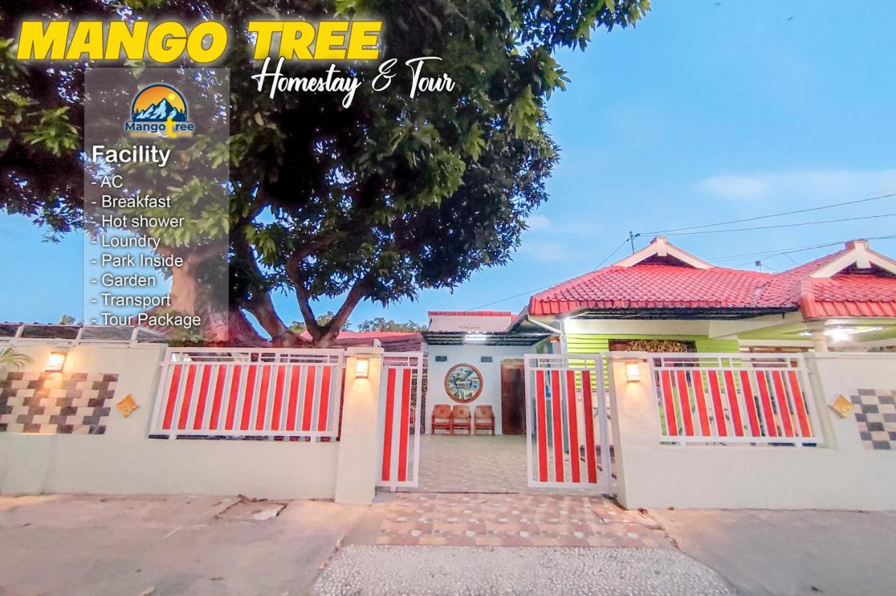 Mango Tree Homestay & Ijen Tour *
