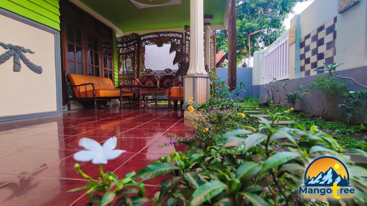 Homestay Mango Tree Homestay & Ijen Tour *