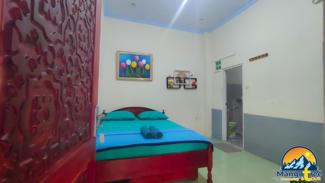 Mango Tree Homestay & Ijen Tour Homestay Banyuwangi (East Java)