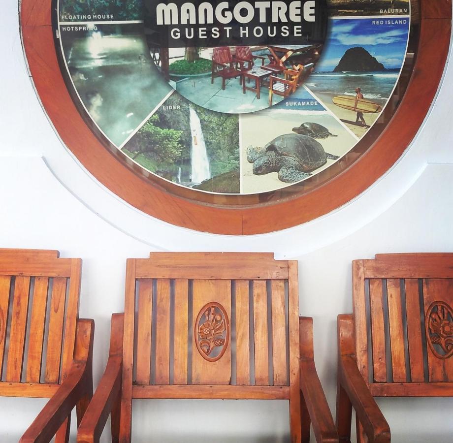 Homestay Mango Tree Homestay & Ijen Tour *