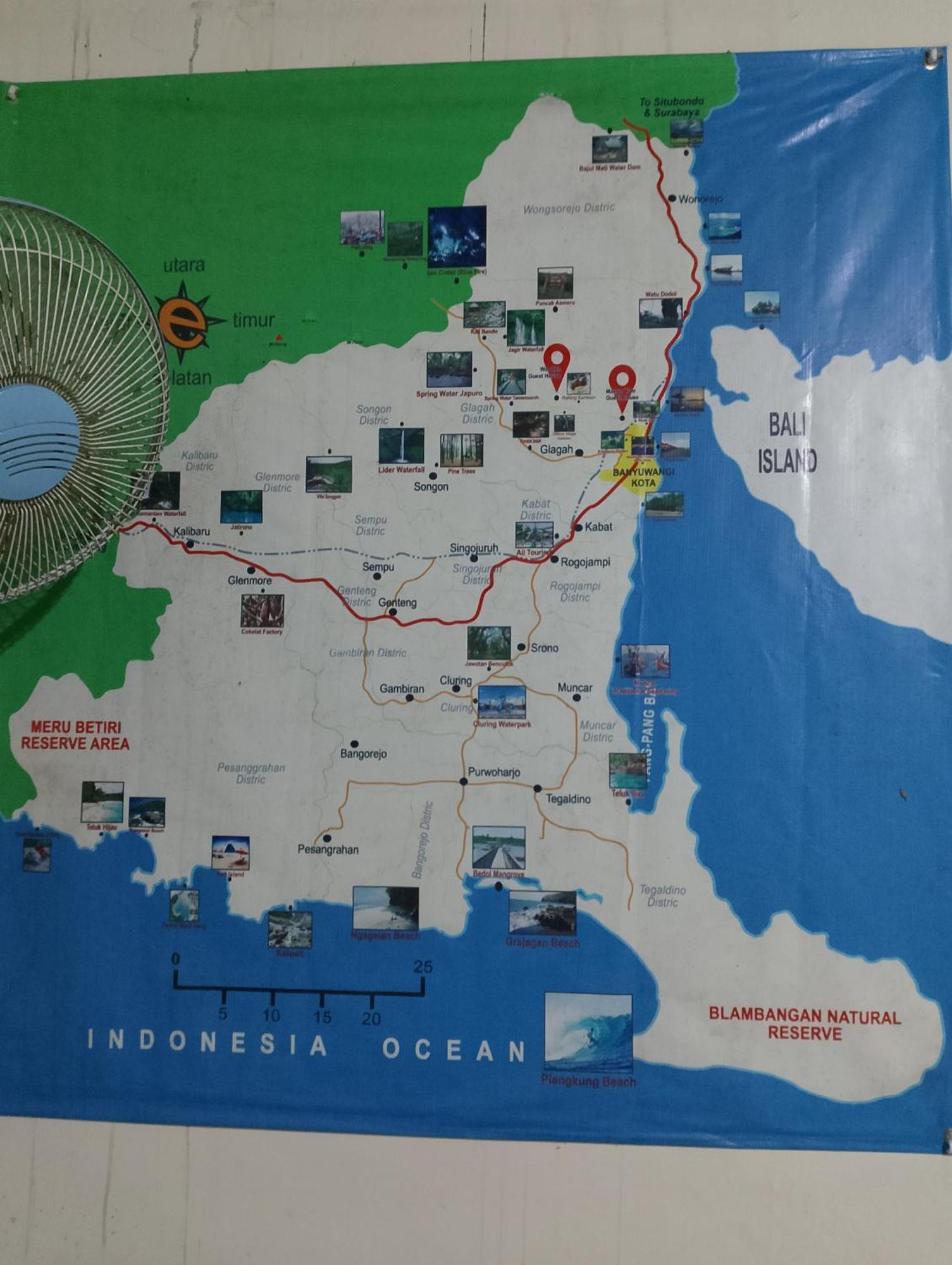 Homestay Mango Tree Homestay & Ijen Tour *