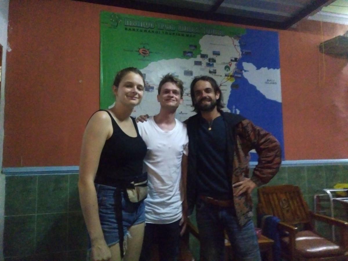 Mango Tree Homestay & Ijen Tour Homestay Banyuwangi (East Java)